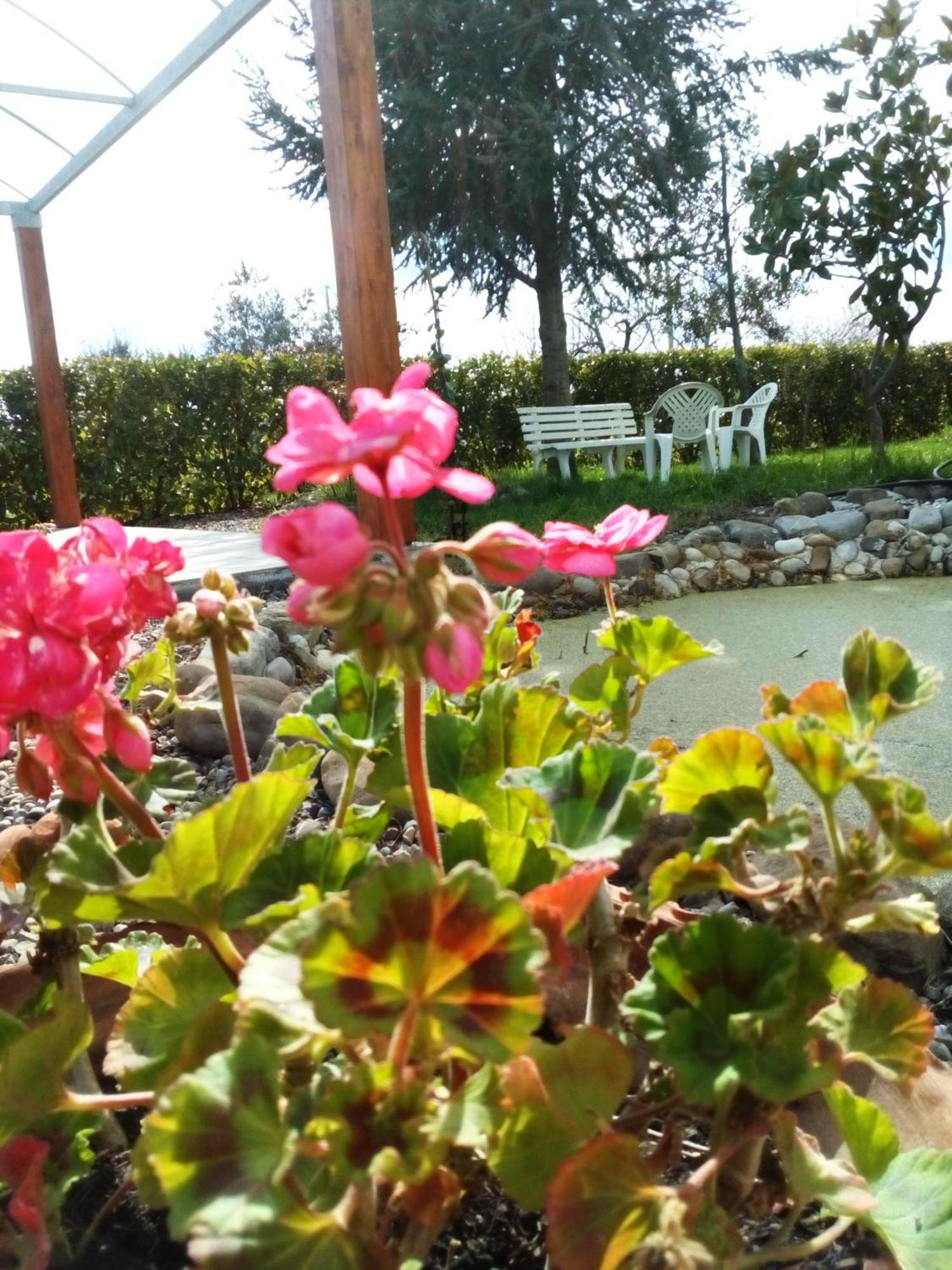 Dimora Antonianna In Valle D'Itria Locorotondo Ngoại thất bức ảnh