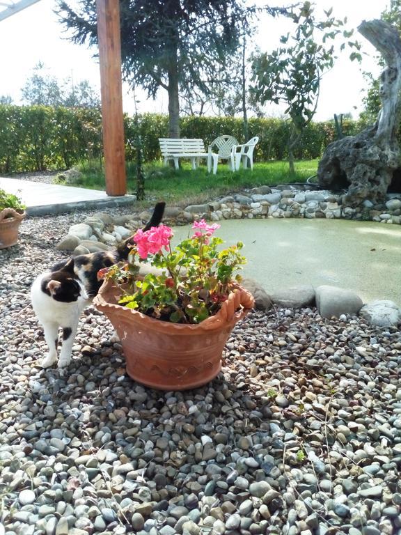 Dimora Antonianna In Valle D'Itria Locorotondo Ngoại thất bức ảnh