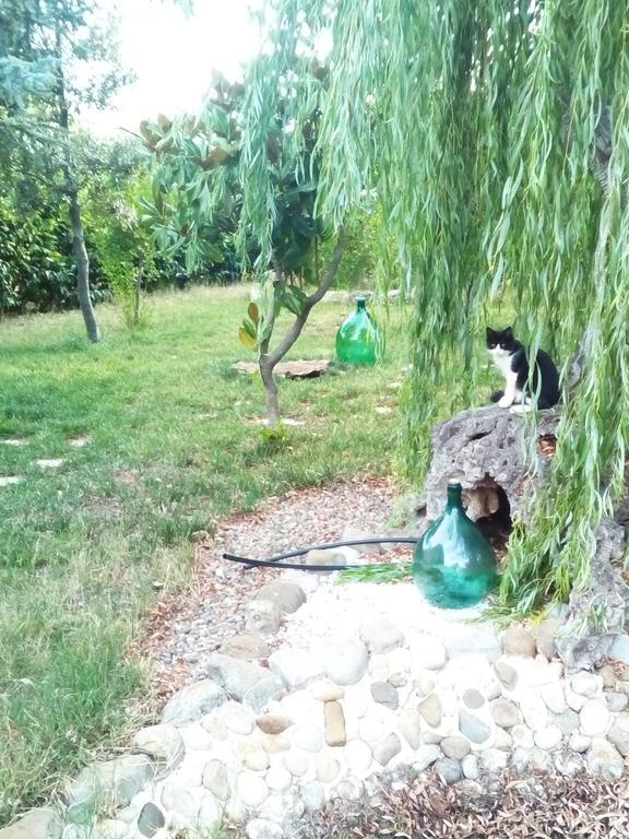 Dimora Antonianna In Valle D'Itria Locorotondo Ngoại thất bức ảnh